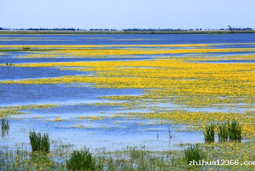 5梦幻湿地1.jpg
